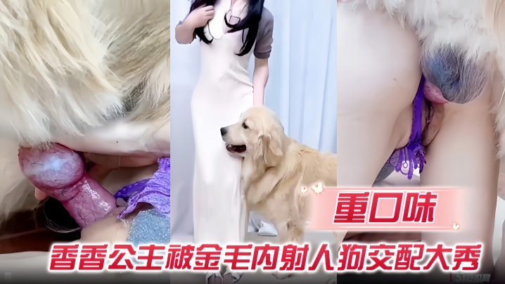 【重口味】香香公主被金毛内射人狗交配大秀